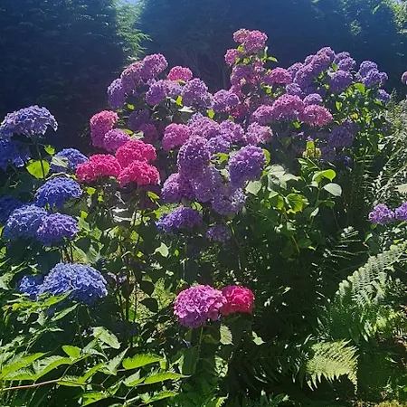 Maison Evasion Normande *